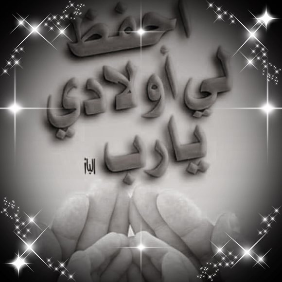 Meet your Posher, Rosa - Picture 1 of 1